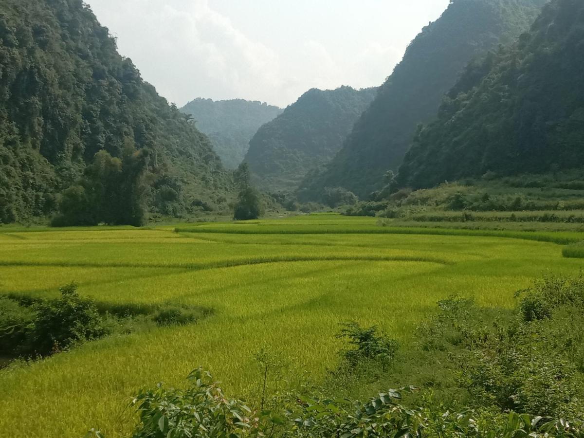 Quang Thuan Ban Gioc Homestay 高平 外观 照片